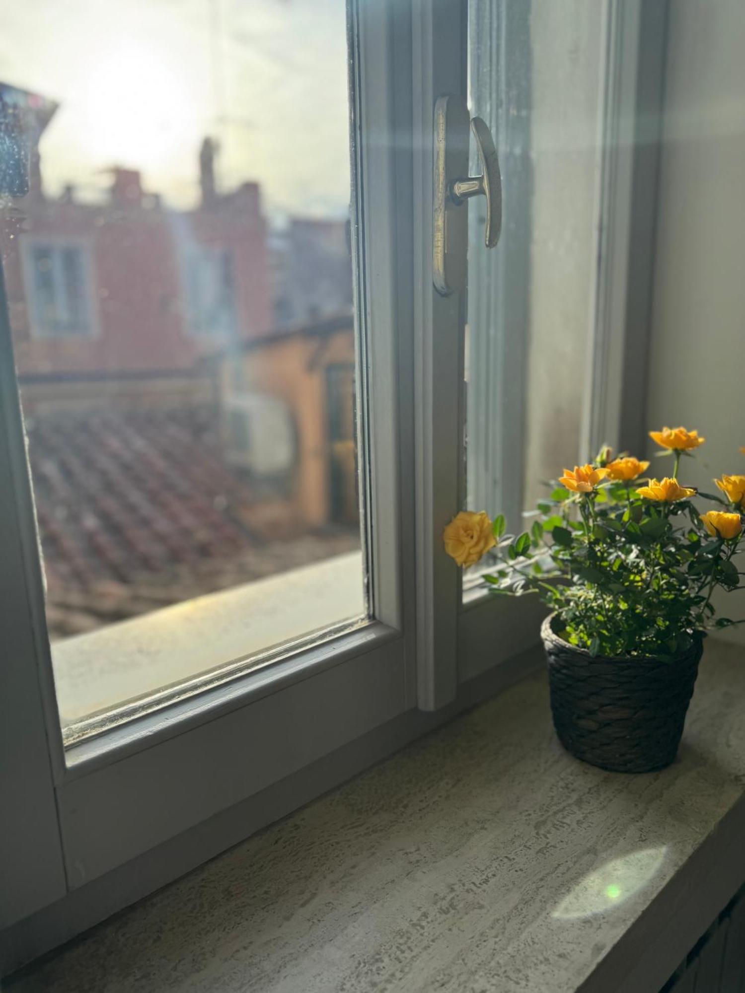 Labanca's Luxury Navona Casa vacanze Roma